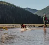 Giocattolo per cani Ruffwear Hydro Plane, colore: arancione Anteprima dell’immagine prodotto 9