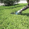 Makita DUM604ZX Cisaille à gazon sans fil Li-Ion 18V, sans Voir les images du produit 45