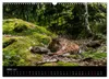 Bayerischer Wald (Wandkalender 2027 DIN A3 quer), CALVENDO Produktbild-Vorschau 11