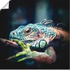 ARTland Poster Leguan Größe: 30x30 cm Produktbild-Vorschau 1
