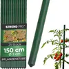 Strend Pro Garden Tyczka ogrodowa SB 20/1500 mm zielona - Podgląd zdjęcia produktu 1