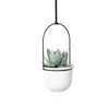 A white speckled hanging planter with a green succulent plant inside, suspended by a black metal frame. Podgląd zdjęcia produktu
