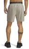 Under Armour Vanish Woven 2.0 6´´ Kurze Hose Beige M / Produktbild-Vorschau 2