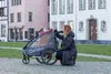 Qeridoo Fahrradanhänger Qupa 1 Modell Grey Produktbild-Vorschau 12