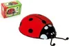 A ladybug-shaped item and its packaging are shown against a white background. Produktbild-Vorschau