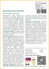SAFLAX - Austrálsky strom veterník - Stenocarpus sinuatus - Náhľad obrázku produktu 3