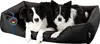 Two border collies are resting in a black dog bed with blue accents.