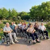 Sedia a rotelle elettrica SL-LYD0012 Doppio motore - 2 × Anteprima dell’immagine prodotto 12
