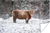 MuchoWow® Poster Schottisches Hochlandrind - Baum - Schnee Produktbild-Vorschau 1