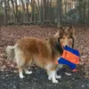 Chuckit FLYING SQUIRREL taglia M Anteprima dell’immagine prodotto 10