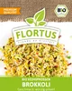 Keimsprossen Brokkoli (200 g) |Keimsprossen von FLORTUS Produktbild-Vorschau 2