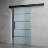 A modern glass sliding door with frosted glass panels is installed in a concrete wall.
