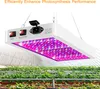 312 LEDs Grow Light fuer Zimmerpflanzen 312 LEDs Full Produktbild-Vorschau 16