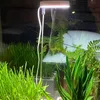LED lampa pro rostliny s plným spektrem Nastavitelná výška Náhled obrázku produktu 10