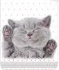Cat - komplet pościeli z motywem kotka, 135x200 i 80x80 cm Podgląd zdjęcia produktu 3