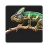 MuchoWow® Mauspad Mousepad Chamäleon - Zweig - Grün 30x30 Produktbild-Vorschau 1