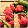 Bilder auf glas - Tulpen Blumenstrauß Sommer Garten - Produktbild-Vorschau 8