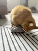 Aumüller Katzenkissen Ratte Cedric grau mit Füllung 13 x 6 Produktbild-Vorschau 3