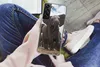 MuchoWow® Handyhülle Schutzhülle Hülle für Samsung Galaxy Produktbild-Vorschau 3