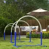 Attrezzature per l'agility per cani PawHut, set per agility Anteprima dell’immagine prodotto 7
