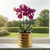 A potted orchid sits on a windowsill with a garden view. Náhled obrázku produktu