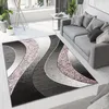 A modern living room with a gray sofa, a patterned rug, and plants.