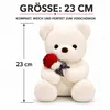 wiztex Teddybär Kuscheltier – 23 cm Bezauberndes Produktbild-Vorschau 2