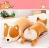 Corgi Dog Big Giant Squishmallow Plüschtier Kuscheltier Produktbild-Vorschau 5