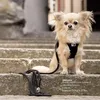 Curli Stretch Comfort Leash, Pes, Štandardná vôdzka, Náhľad obrázku produktu 4