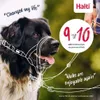 HALTI Kopfgeschirr – Anti-Zug-Halsband für kleine Hunde, Produktbild-Vorschau 5