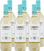 Camino De Castilla Verdejo Viura D.O. (6 x 0,75L) Produktbild-Vorschau 1