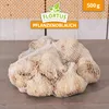 Artikelbild 5 von 'Winterpflanzknoblauch Messidrome' aus der Kategorie Winterpflanzknoblauch Produktbild-Vorschau