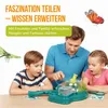 Clementoni Galileo Insectenobservatiestation Productafbeelding-voorbeeld 8