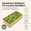 Islandmoos 500 g in über 30 Farben, konservierte Produktbild-Vorschau 4