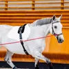 Uzdečka Horseware Micklem II Multi, velikost:Thoroughbred, Náhled obrázku produktu 10