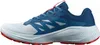 Chaussures Salomon Alphaglide L47724300 Voir les images du produit 2