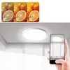 LED stropné svietidlo NAIZY, ploché, okrúhle, vhodné do Náhľad obrázku produktu 3