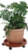 RUCO 2x Pflanzenroller terrakotta Kunststoff rund Ø 34 cm Produktbild-Vorschau 1