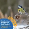 Leimüller - Nourriture pour oiseaux sauvages 25 kg (spécial Voir les images du produit 2