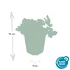Waldsteinia ternata | 6 Stücke - 10-25cm - Ø9cm - Produktbild-Vorschau 2