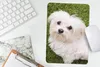 MuchoWow® Mauspad Mousepad Malteserhund schaut auf 18x27 cm Produktbild-Vorschau 5
