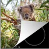 KitchenYeah© Herdabdeckplatte Koala - Blätter - Kinder - Produktbild-Vorschau 1