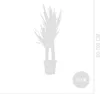 Bloomique - 2er Set - Yucca Elephantipes - Yucca Palme - Produktbild-Vorschau 6