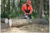 Ablängstab KOLIBRI L.33cm Material Produktbild-Vorschau 3