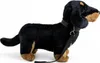 A stuffed dachshund toy with a leash, shown from the side against a white background. Podgląd zdjęcia produktu