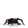 Hračka Schleich Harry Potter - Aragog Anteprima dell’immagine prodotto 8
