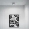 LUMILED bodové svítidlo pro povrchovou montáž, stropní Náhled obrázku produktu 9