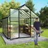 TRMLBE Szklarnia ogrodowa 310x250x205 cm Szklarnia ogrodowa Podgląd zdjęcia produktu 4