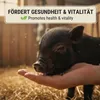 AgrarzoneAliment pour mini-porcs granulé 20 kg Voir les images du produit 5