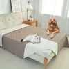 A dog and a cat are on a bed with a protective blanket. Náhled obrázku produktu